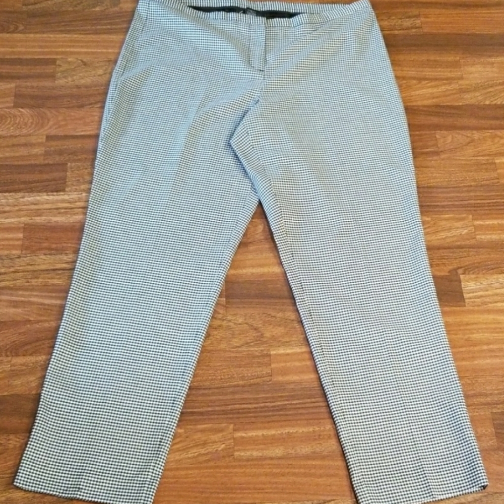 Lane Bryant dress pants